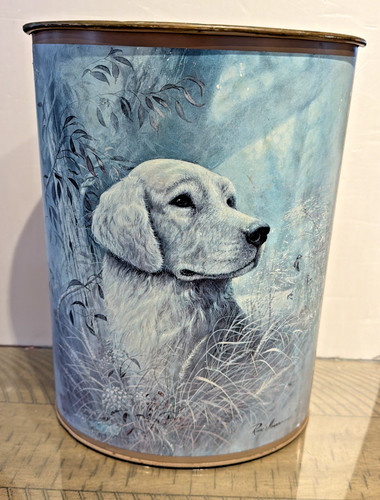 Vtg lab golden retriever - retriever, dog